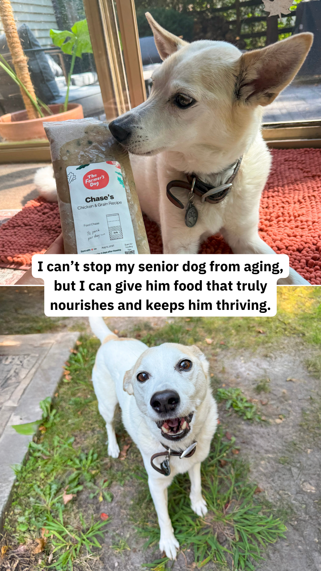 Rounds Of A Paws Facebook ad