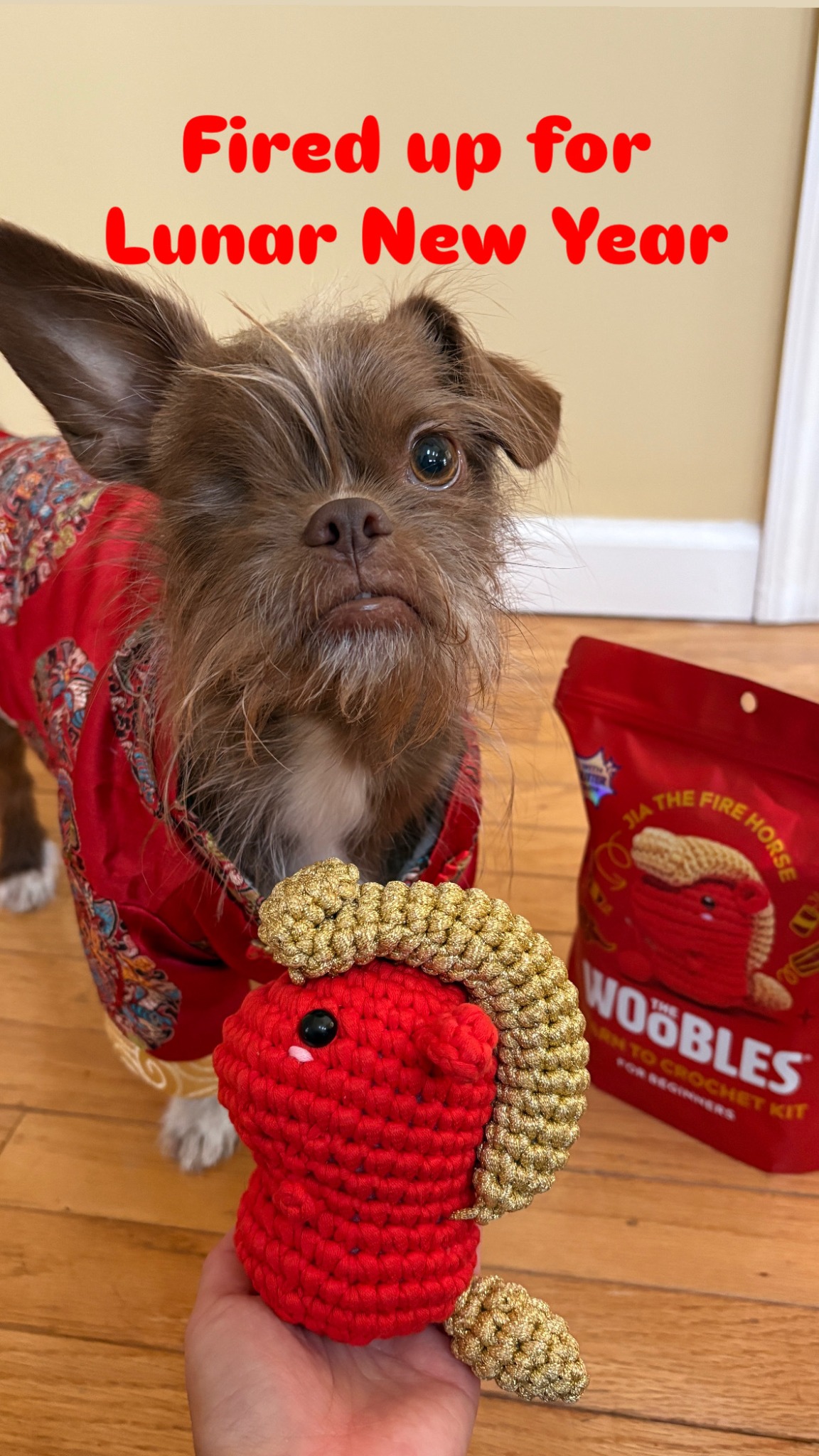 The Woobles Facebook ad from Feb 13, 2026