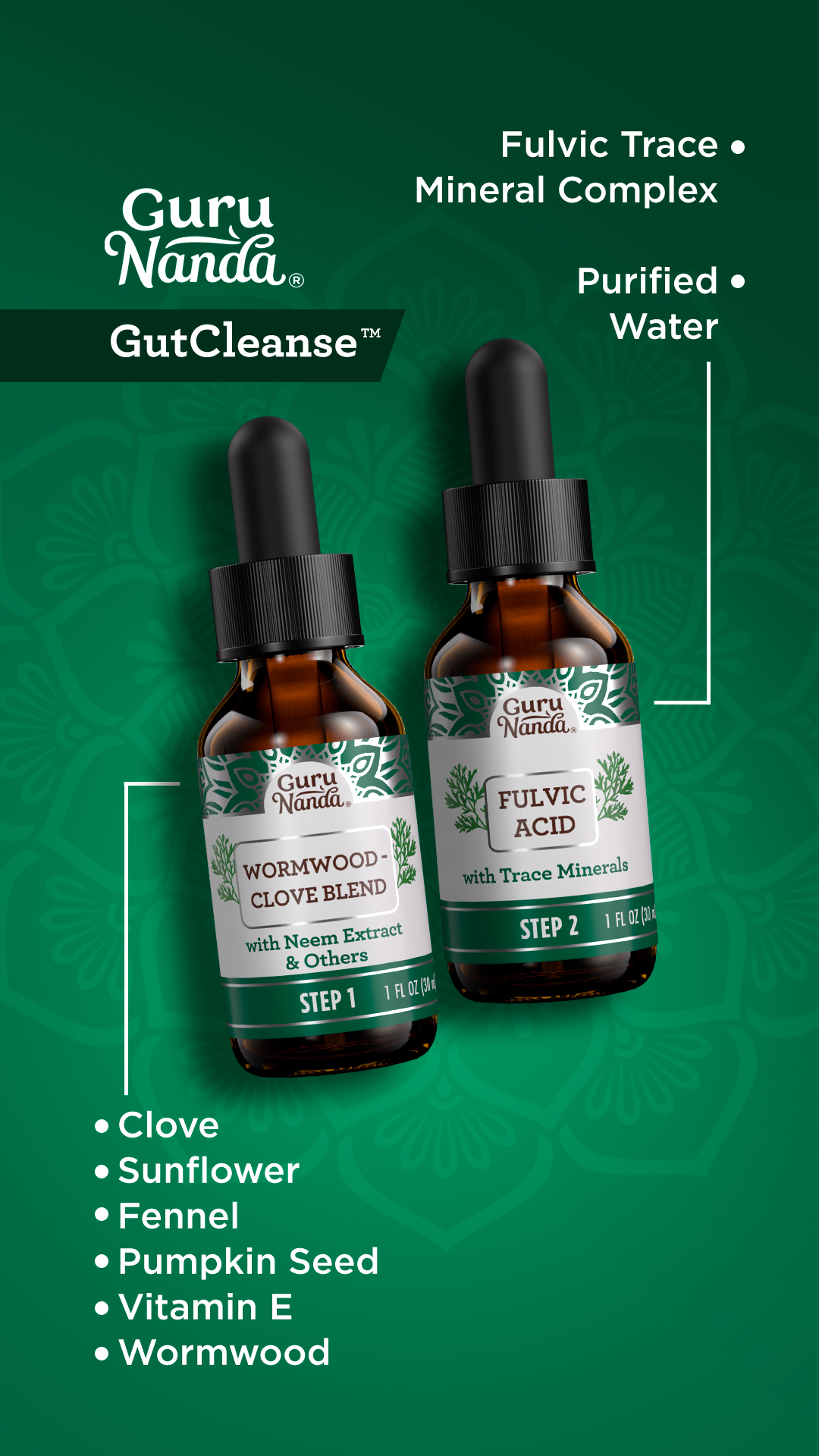 GuruNanda Facebook ad