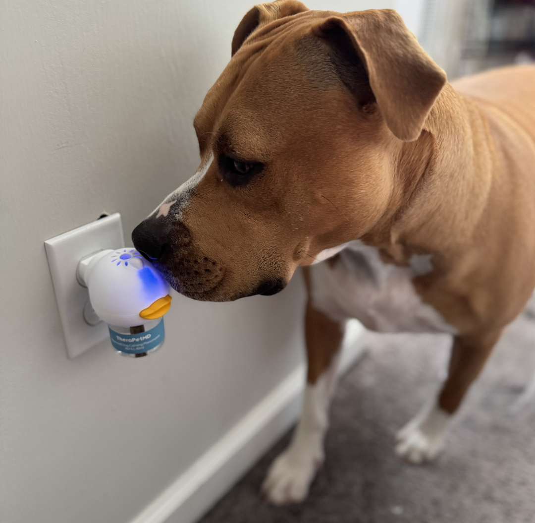 Vet approved products Facebook ad