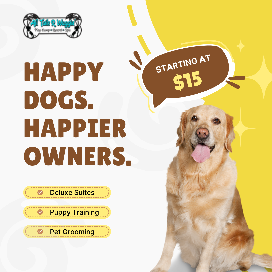 All Tails 'R' Waggin'-Pataskala, Oh Facebook ad: Starting $15