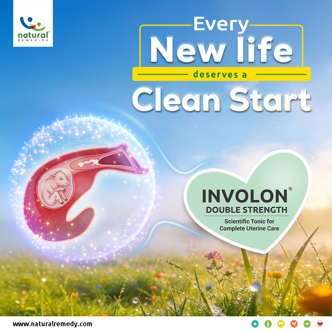 Natural Remedies-Animal Health Care Products Facebook ad: Every New Life Deserves A Clean Start