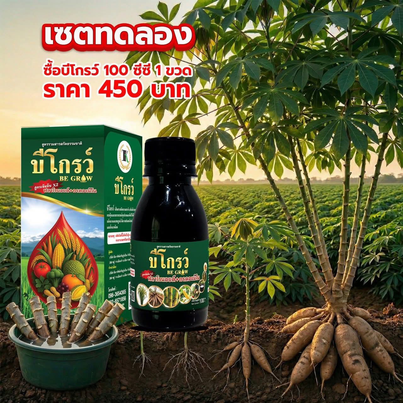 บีโกรว์ ผจก.ป้อม 080-854-9565 Facebook ad: รู้มั้ย…ทำไมบีโกรว์ถึงขายดี รีวิวเยอะ…