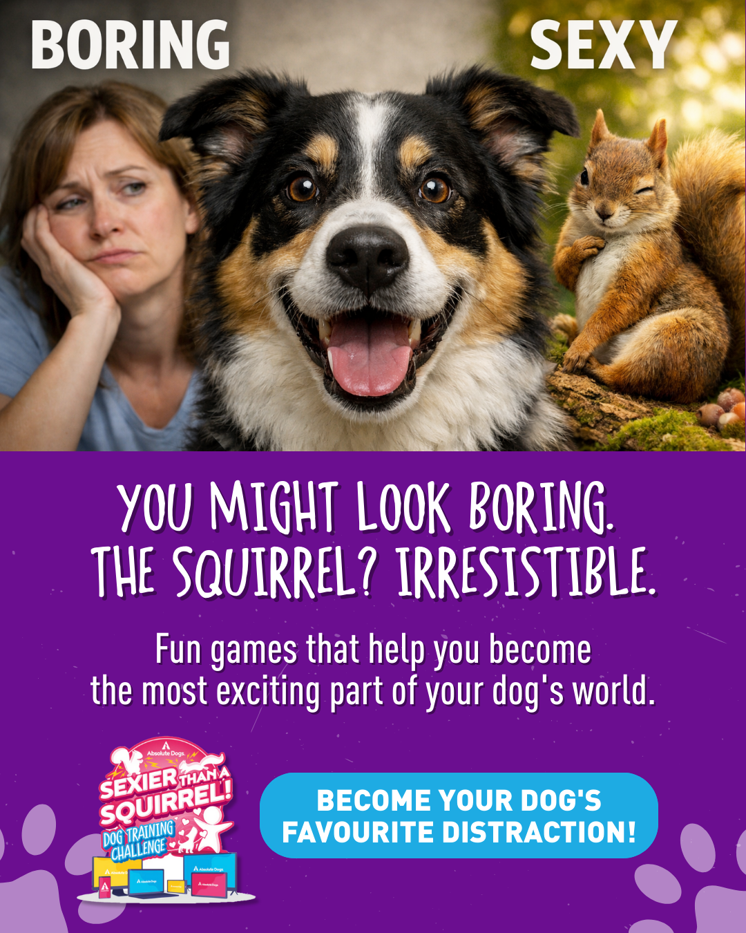absoluteDOGS Facebook ad