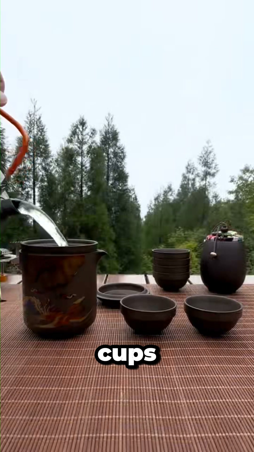 Tealibere Tea & Teaware Facebook ad: Gongfu Tea, Wherever You Go