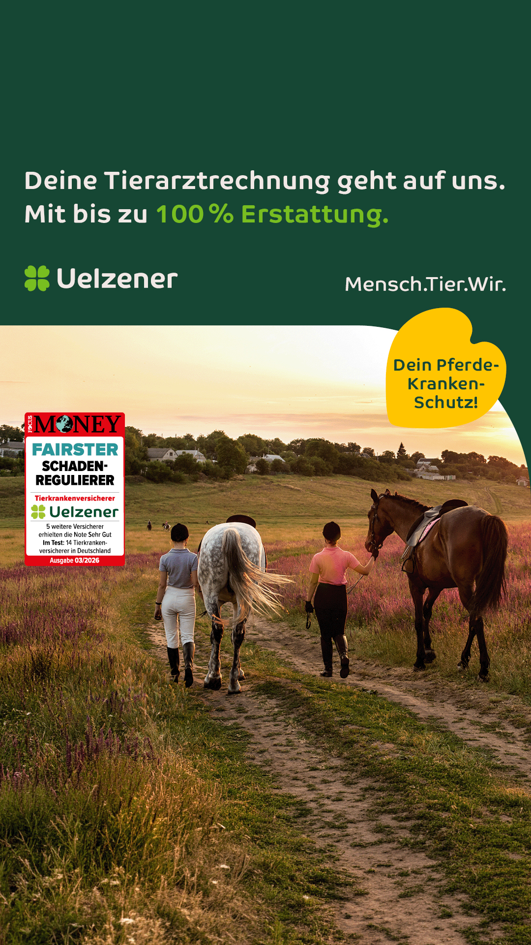 Uelzener Versicherungen Facebook ad