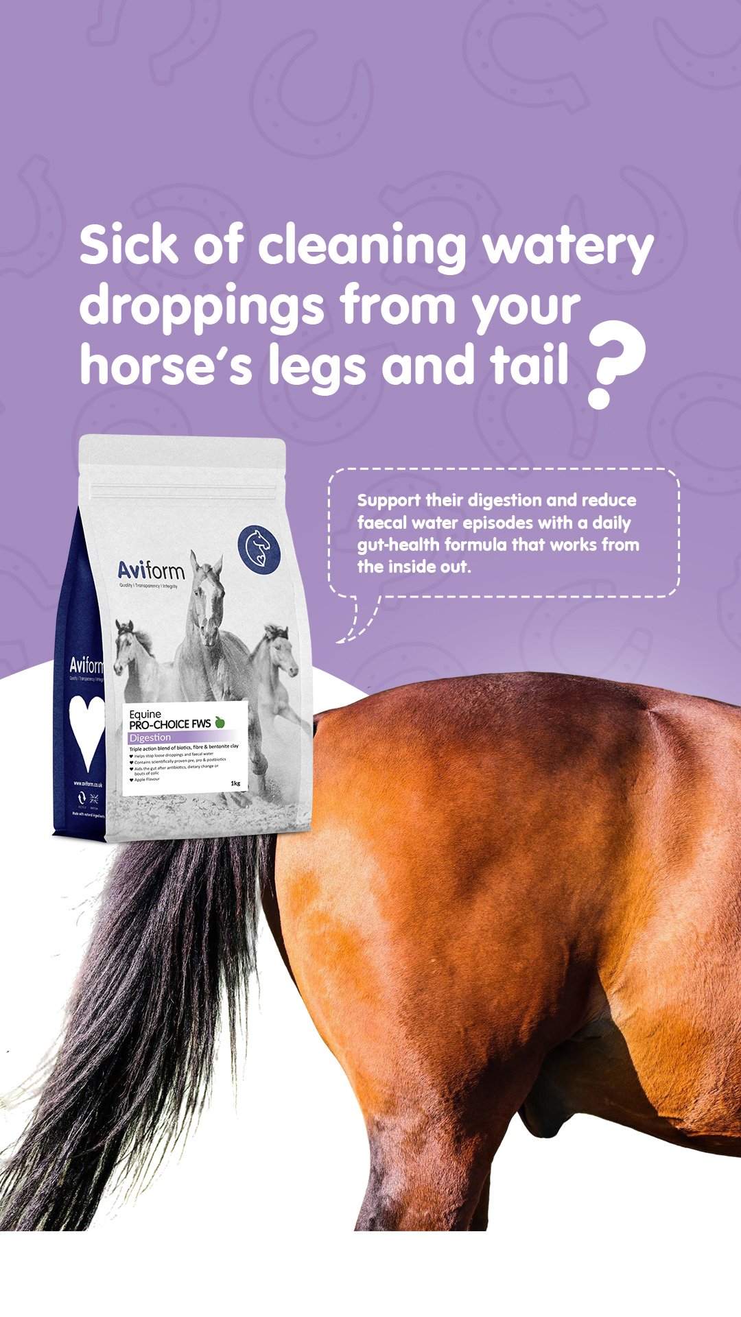 Aviform Nutrition UK - Horse & Dog Facebook ad