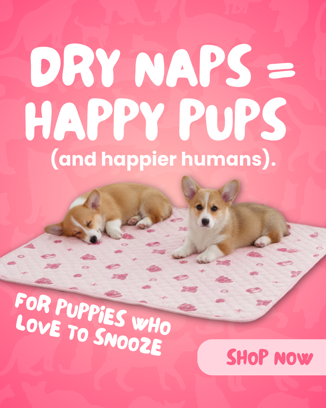 Potty Buddy Facebook ad