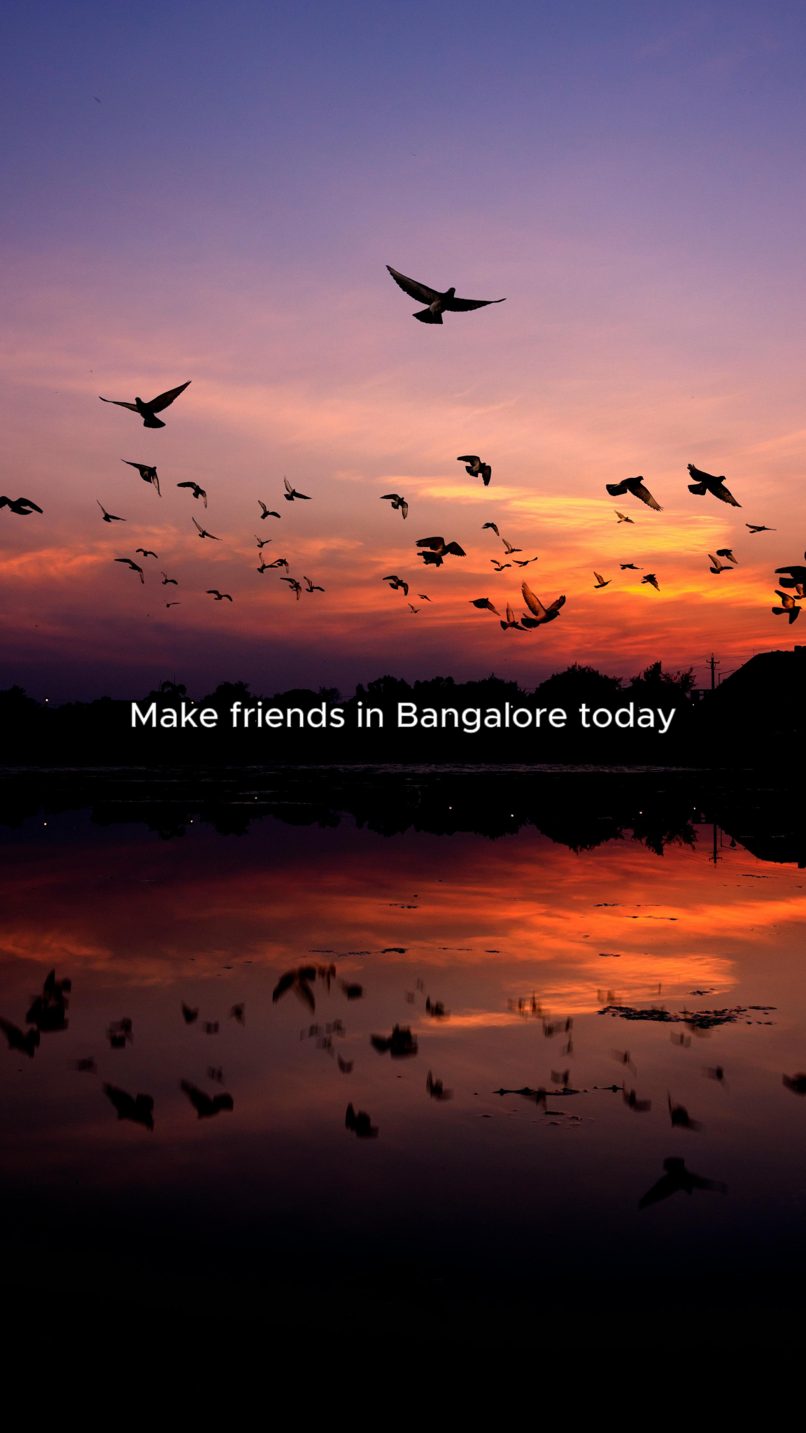 belong.app Facebook ad