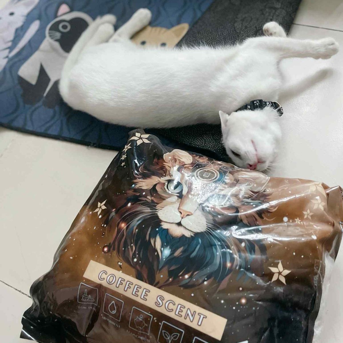 Zen Clean Cat Litter Facebook ad