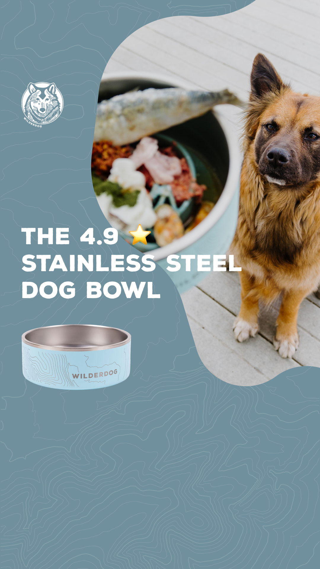 Wilderdog Facebook ad