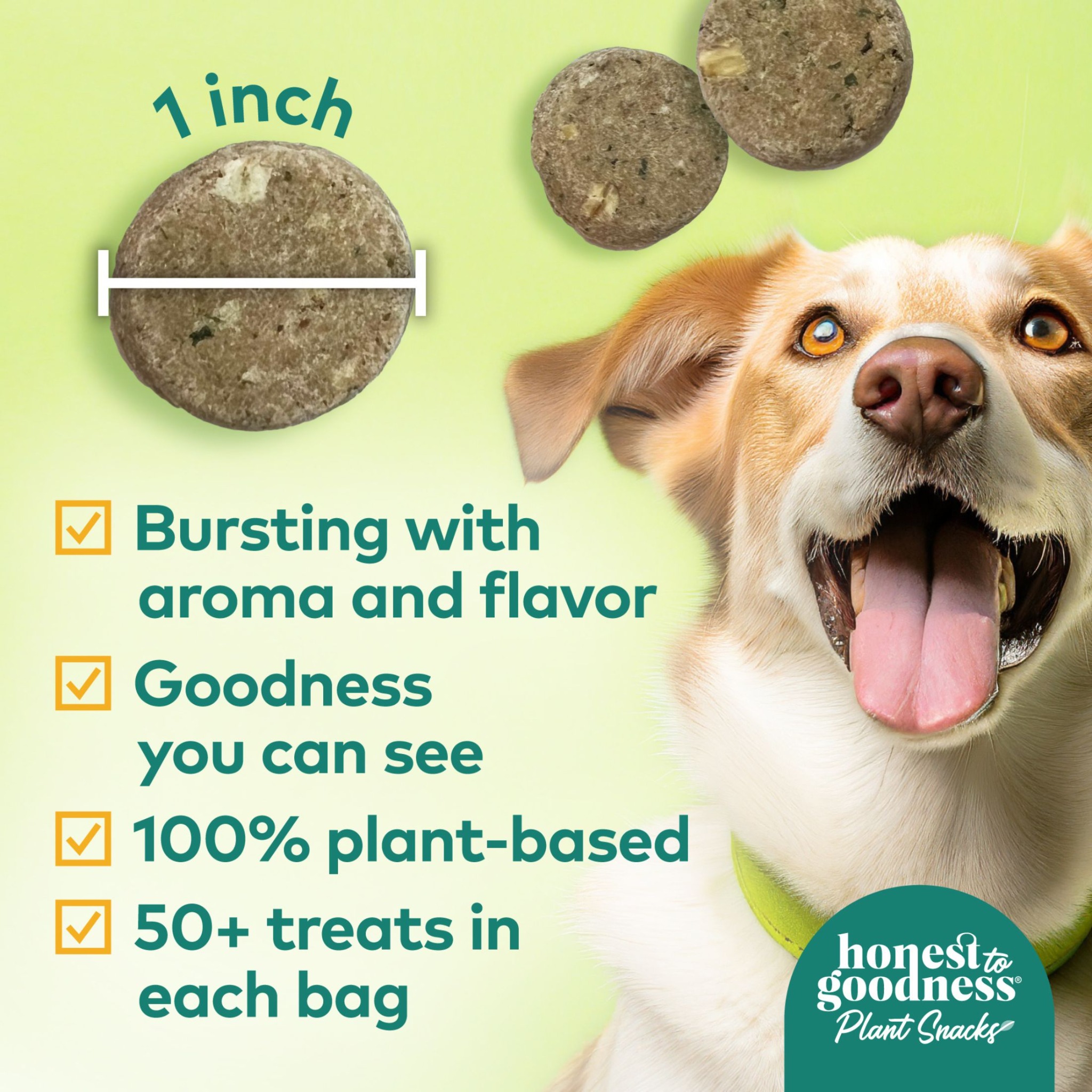 Honest To Goodness Pet Facebook ad