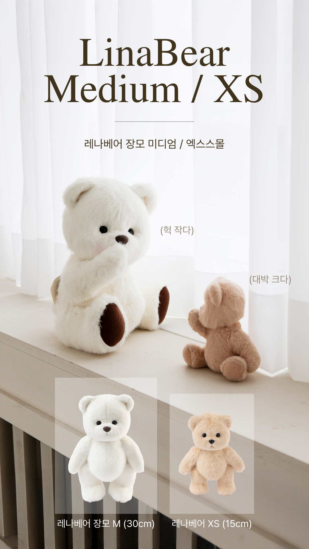 TeddyTales Korea Facebook ad: 소중한 프리미엄 선물을 찾고 있다면?