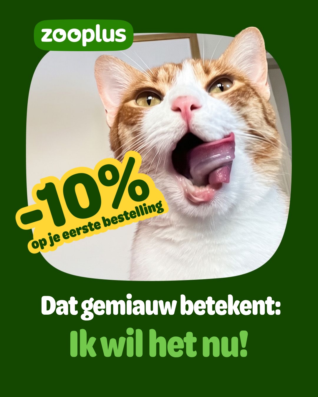 zooplus Facebook ad: Alles voor je kat kopen? De beste prijs bij zooplus!