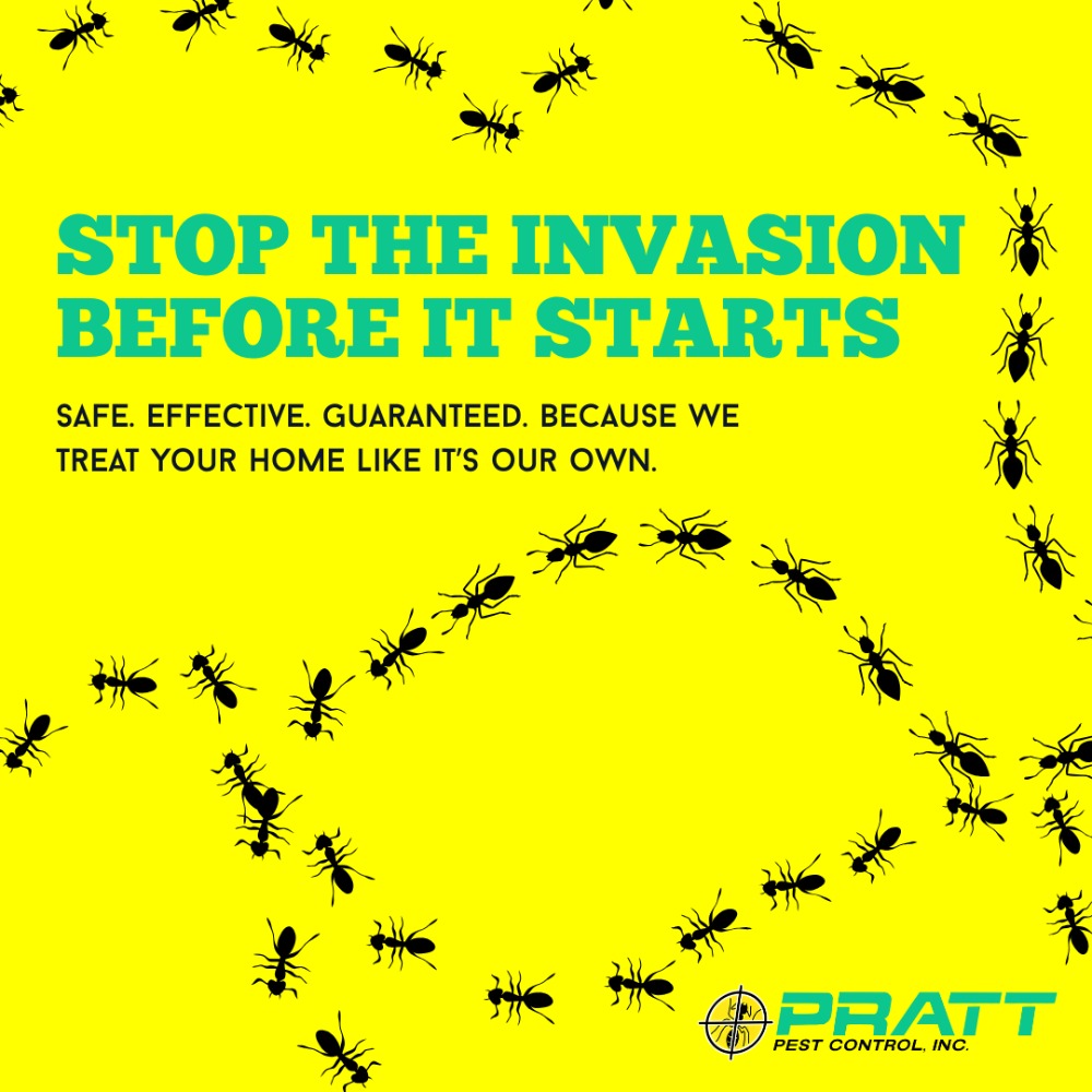 Pratt Termite & Pest Control Facebook ad