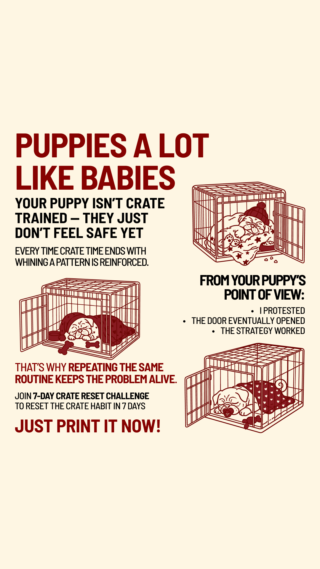 Woofz - Puppy Training Facebook ad