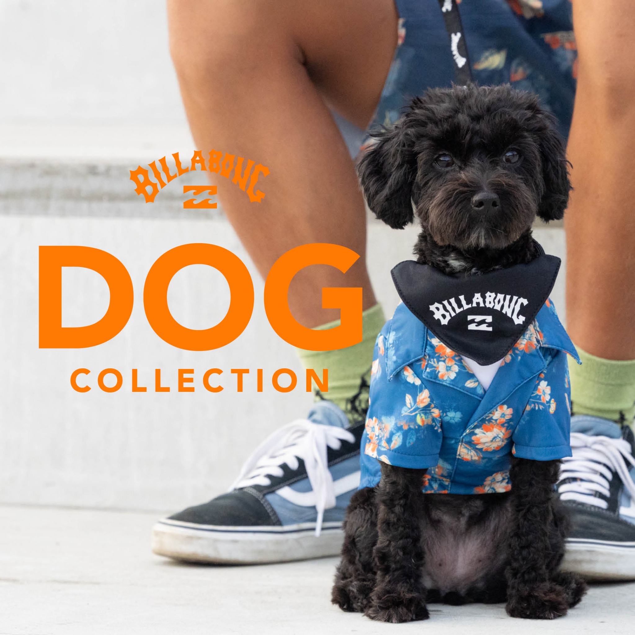 Billabong Japan Facebook ad: アイテムをチェック