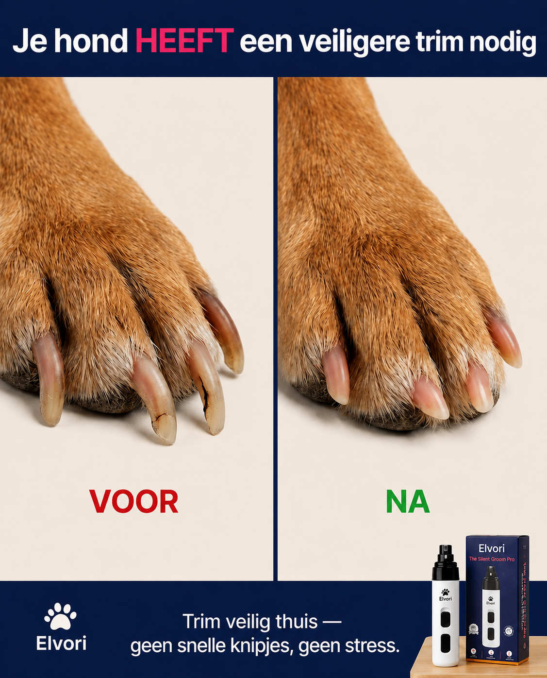 Elvori Facebook ad: 50% Korting | Alleen vandaag