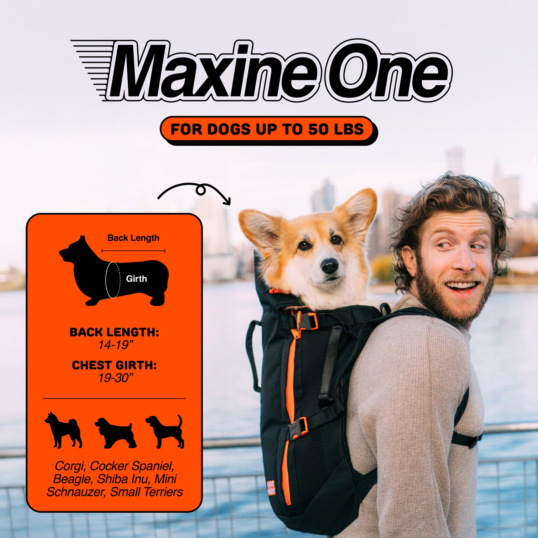 Little Chonk Facebook ad
