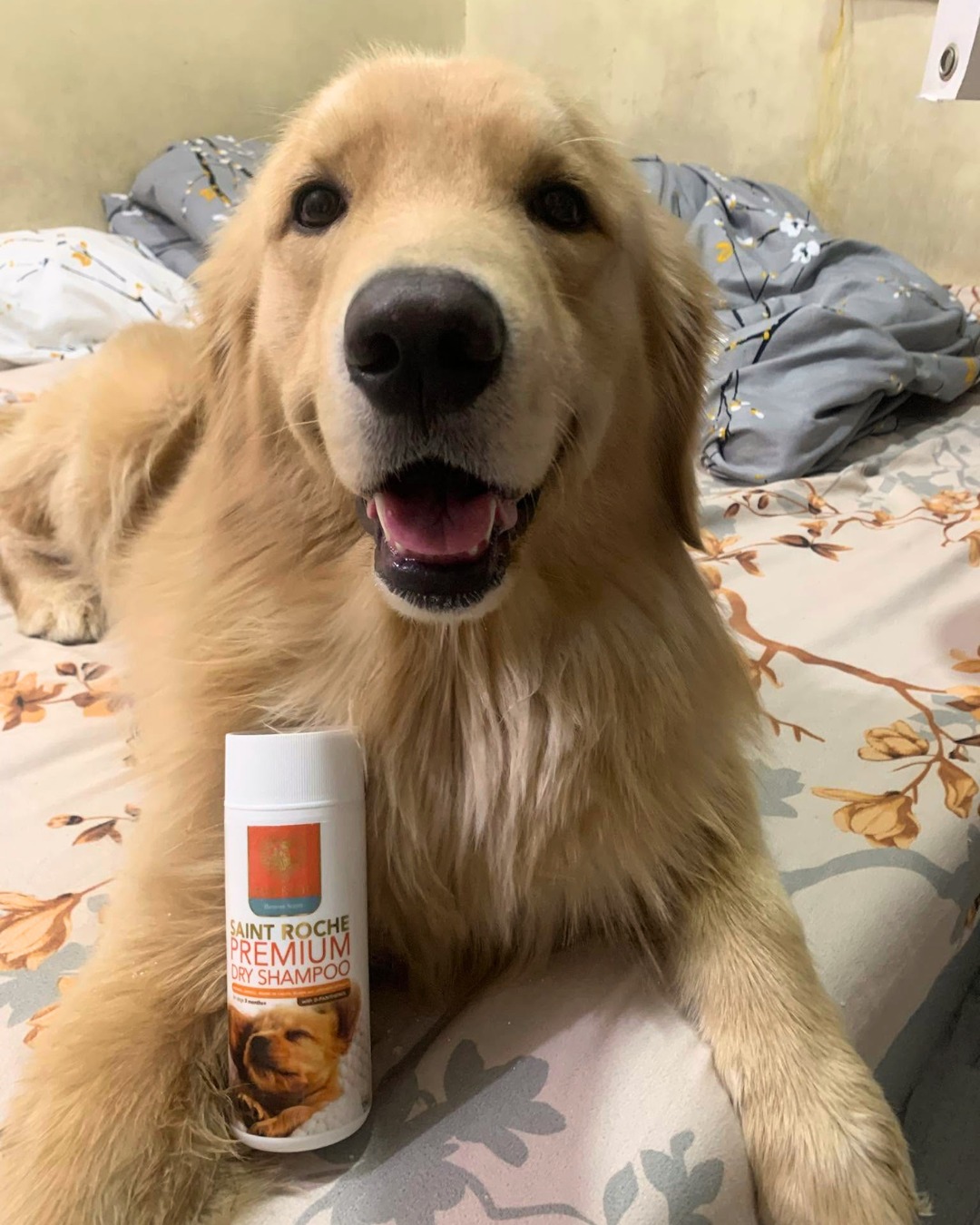 Saint Roche Premium Dog Shampoo Facebook ad