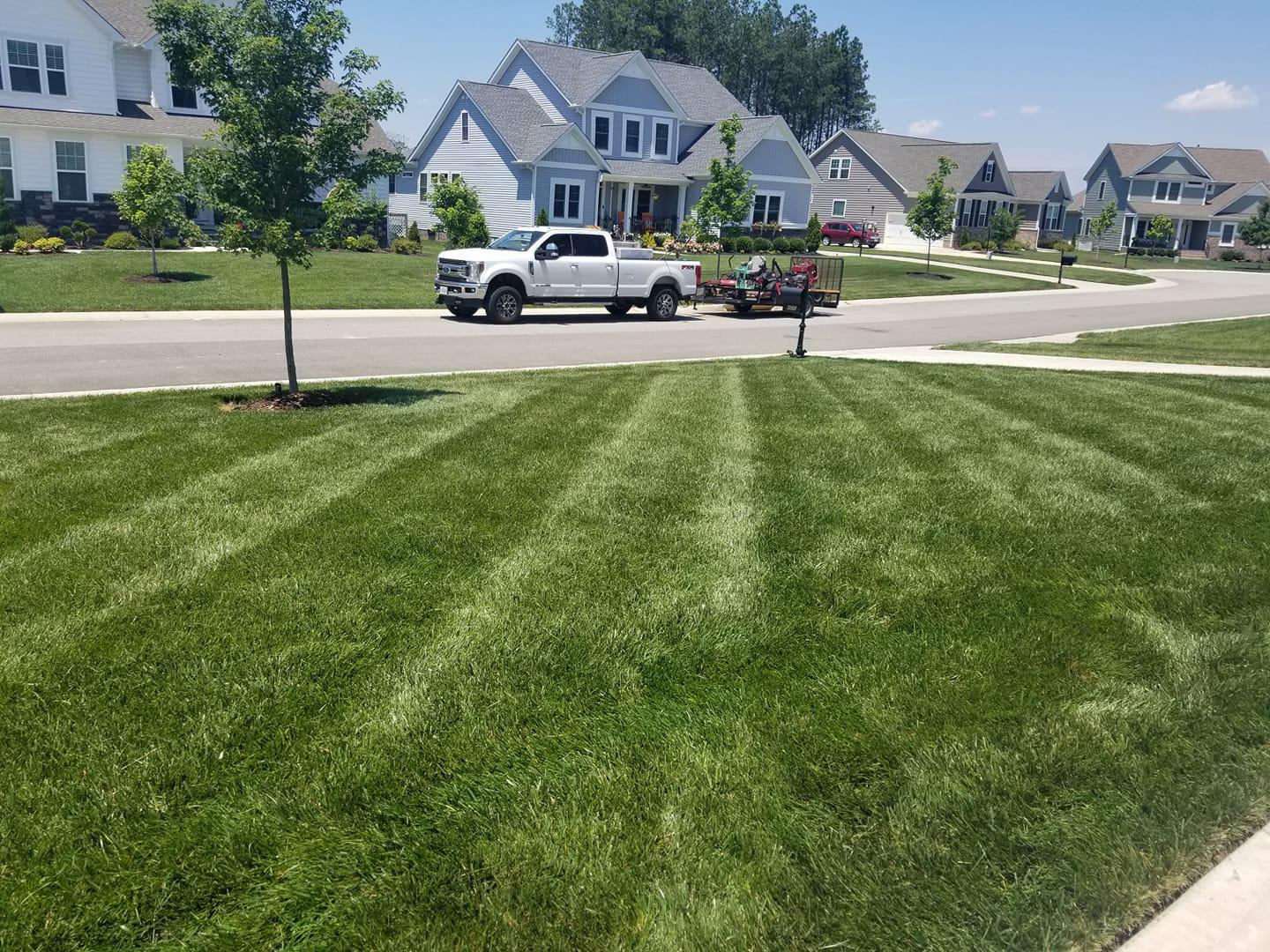 Etter Lawn Care Facebook ad: Green Grass, Dead Weeds.