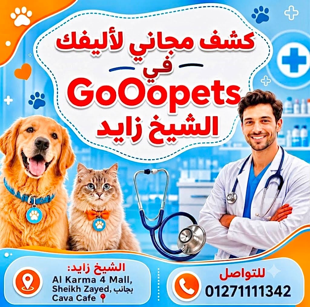 GoooPets - جوووﭘتس Facebook ad: أليفك محتاج كشف؟