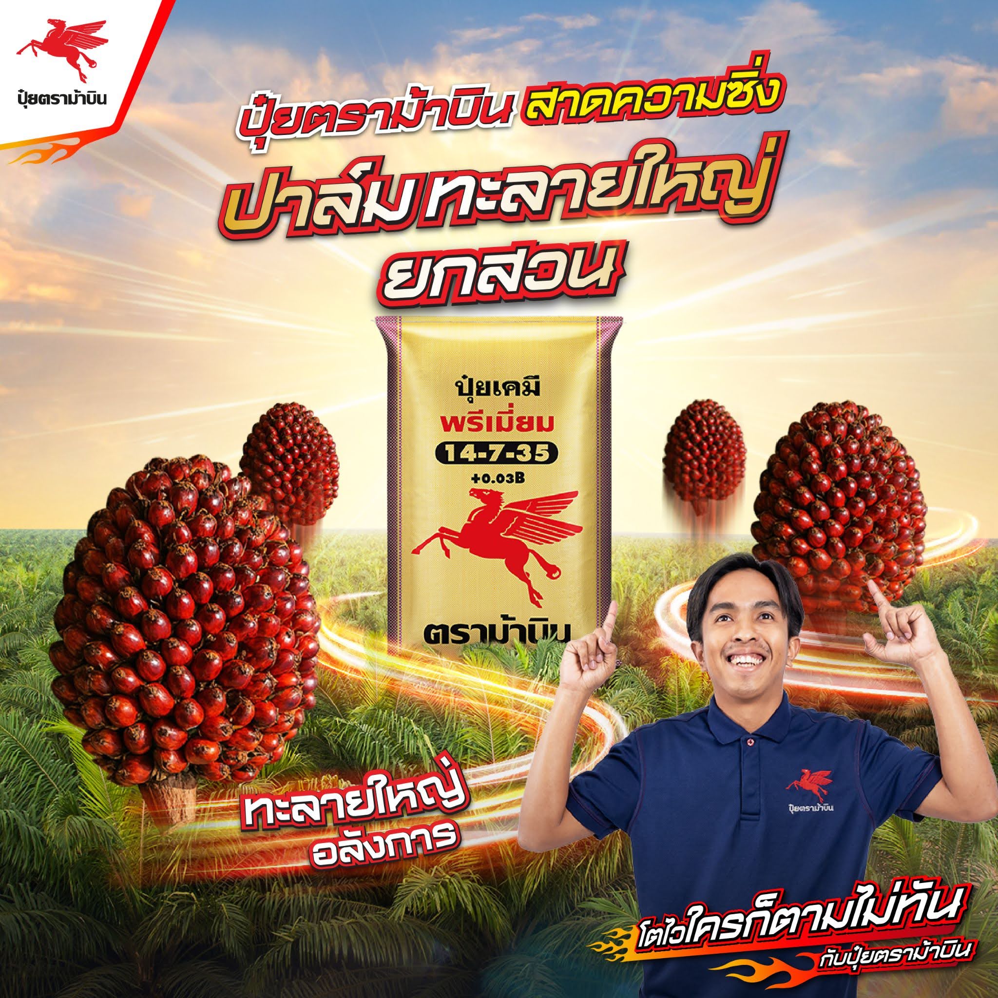 ปุ๋ยตราม้าบิน Facebook ad: สาดความซิ่งให้สวนปาล์ม… ทะลายใหญ่ยักษ์ ระเบิดระเบ้อ
