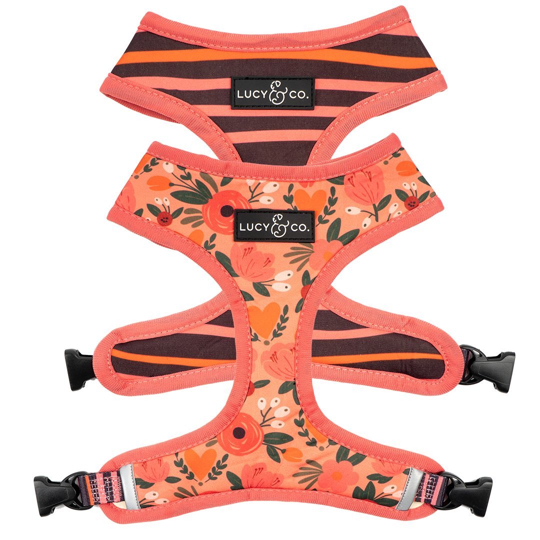Lucy & Co. Facebook ad