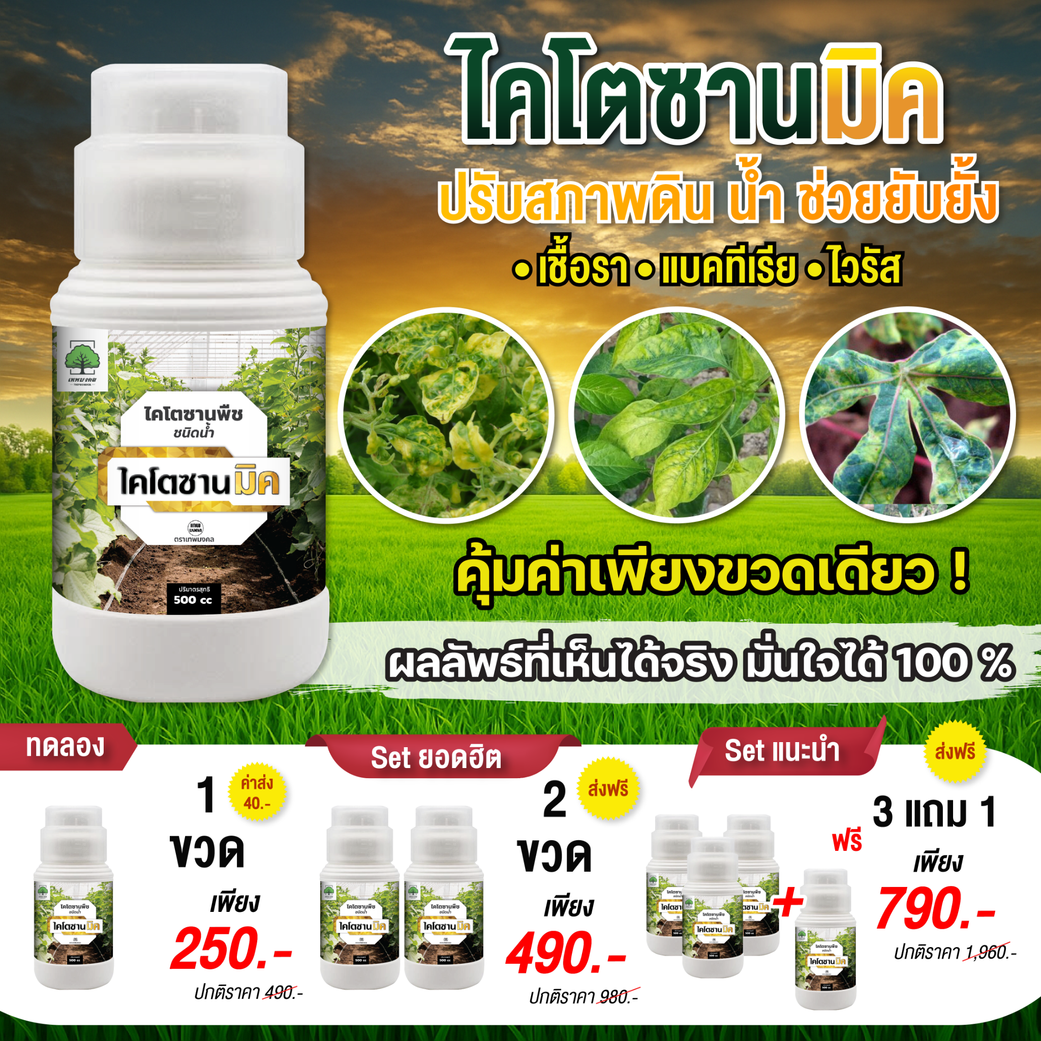 ไคโตซานมิค ป้องกันโรคพืช เชื้อรา ไวรัส แบคทีเรีย แมลง Facebook ad