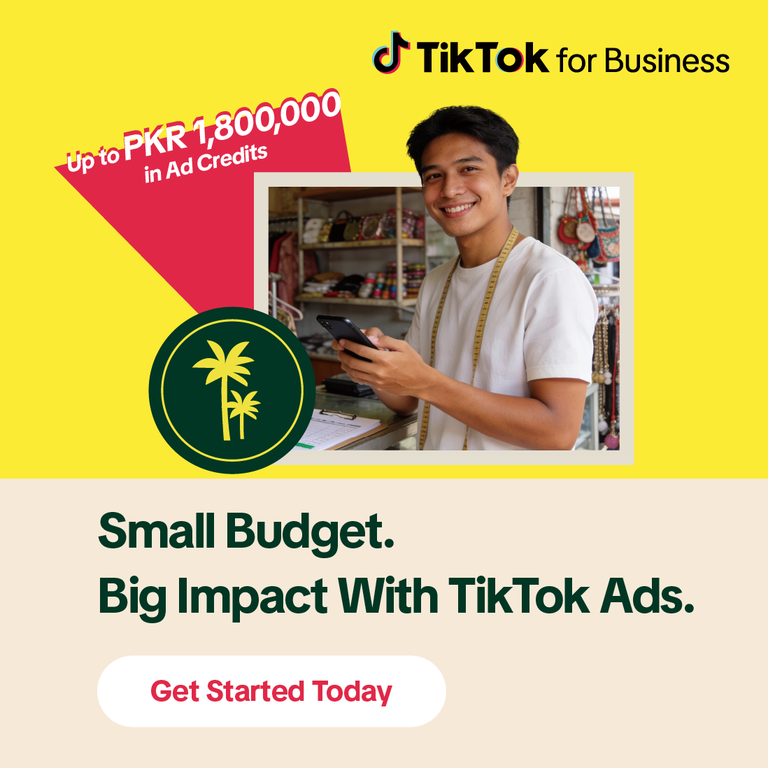 TikTok For Business Facebook ad