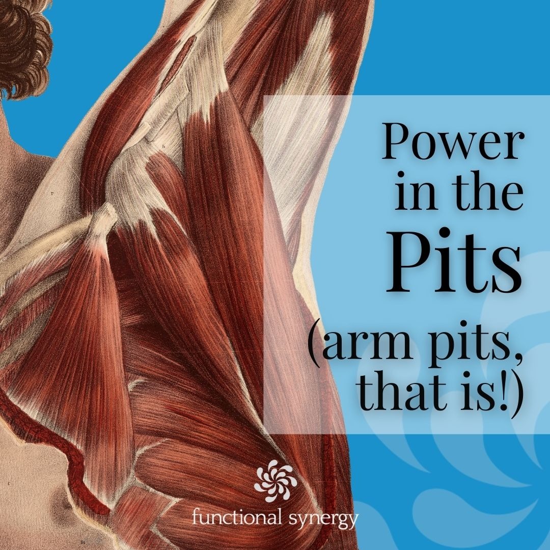 Susi Hately: Functional Synergy Facebook ad: Power in the Pits Online Workshop