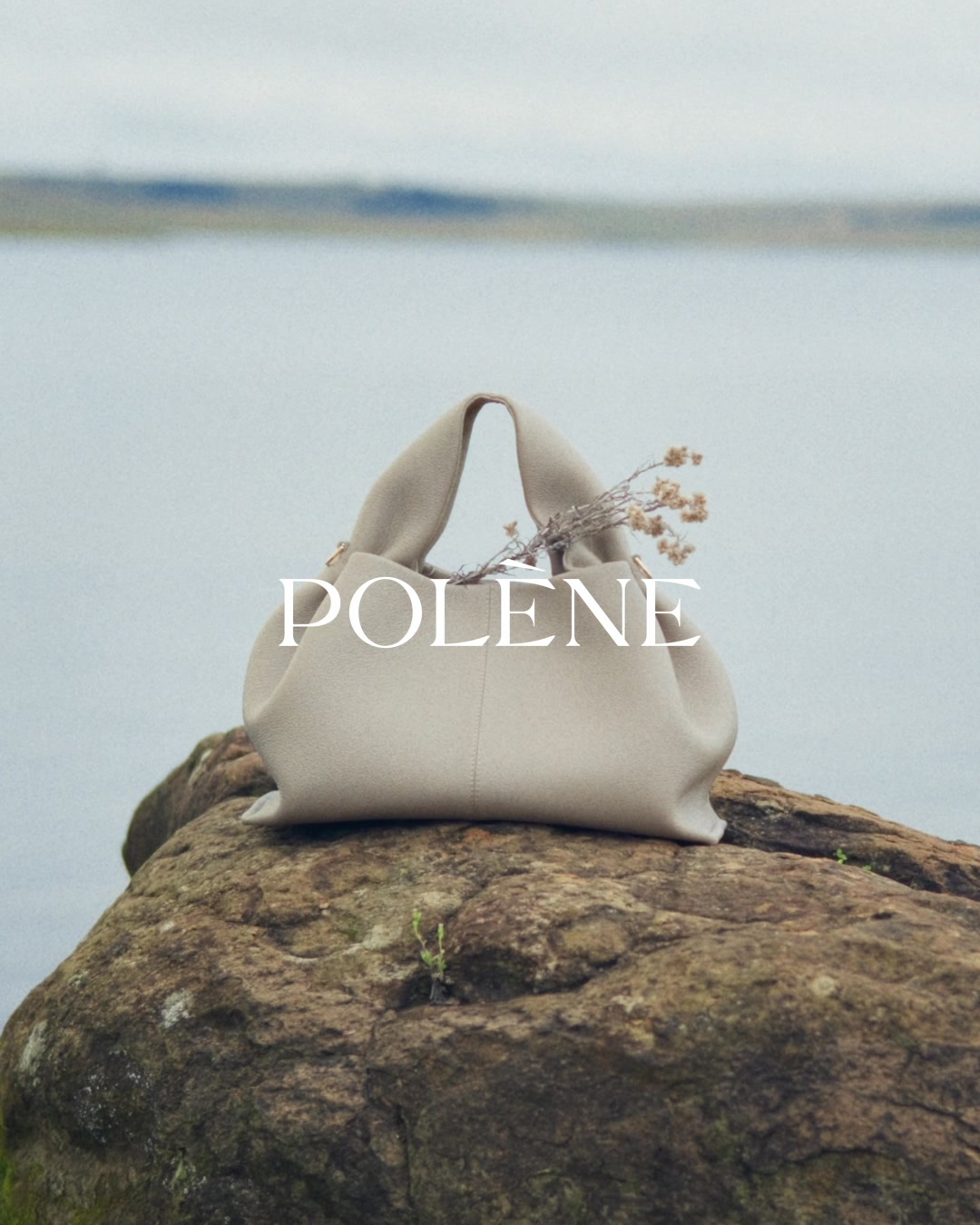 Polène Facebook ad: Discover the collection