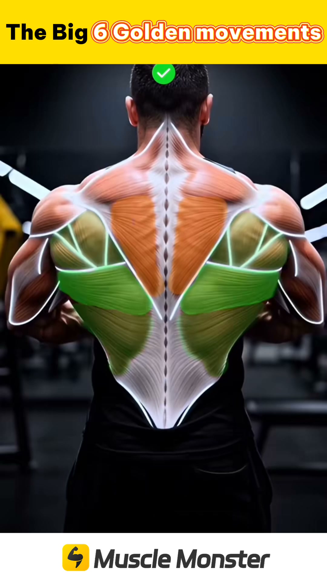 21-Day Muscle Workout Planner Facebook ad: Start Training!