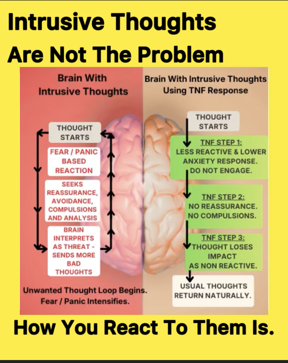 Ever Calm Mind Facebook ad from Jan 29, 2026