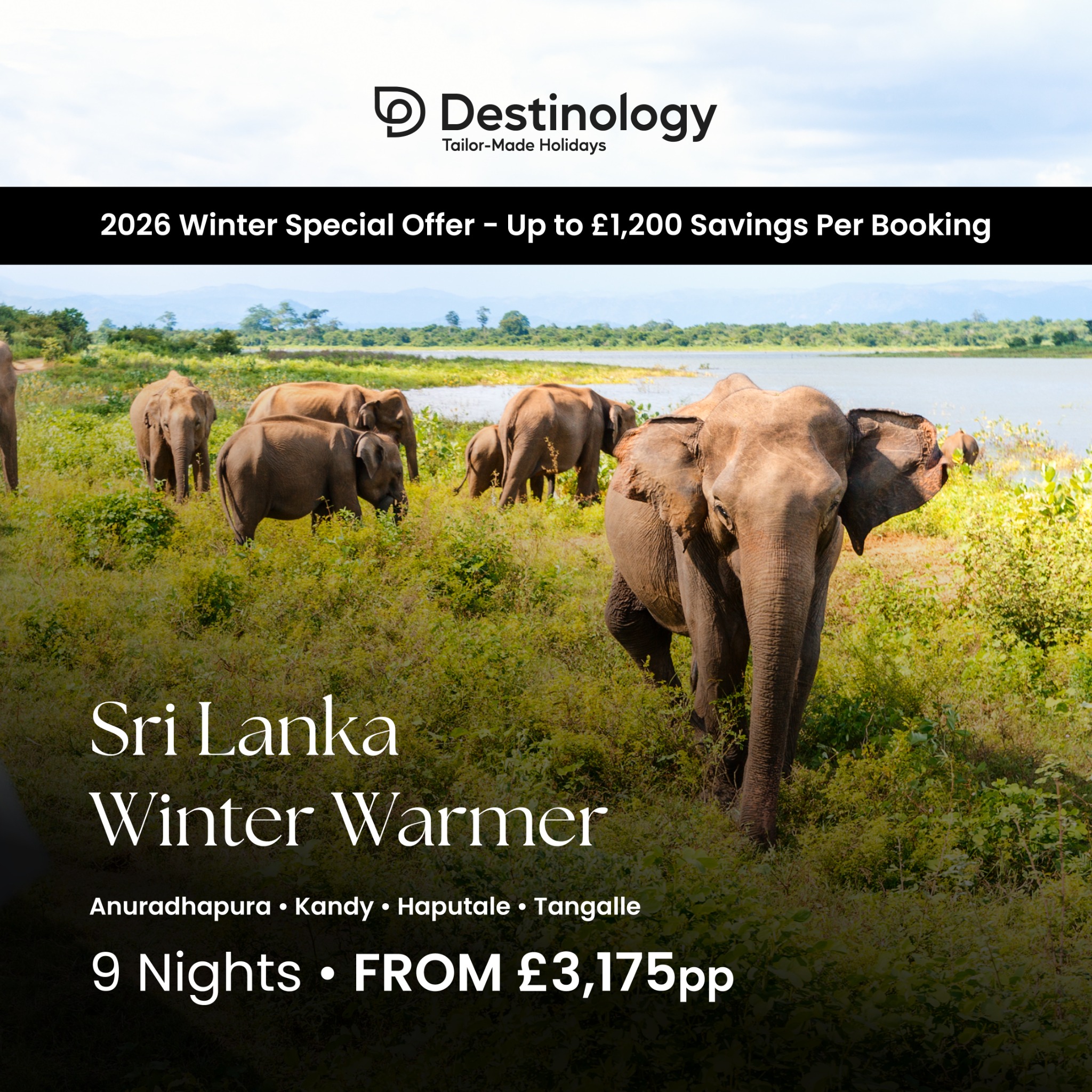 Destinology - Luxury Holidays Facebook ad: Sri Lanka Winter Warmer