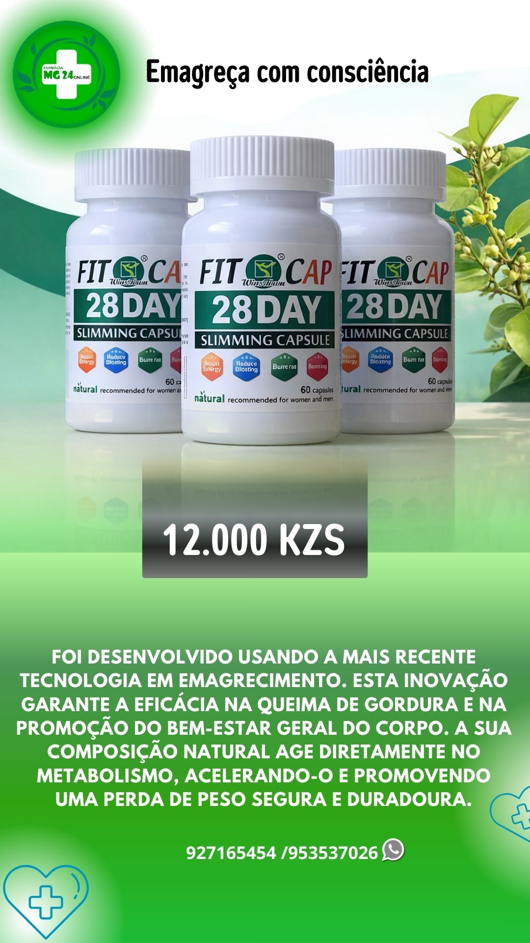 Farmácia MG 24online Facebook ad: TRANSFORME O SEU CORPO COM PRODUTOS NATURAIS