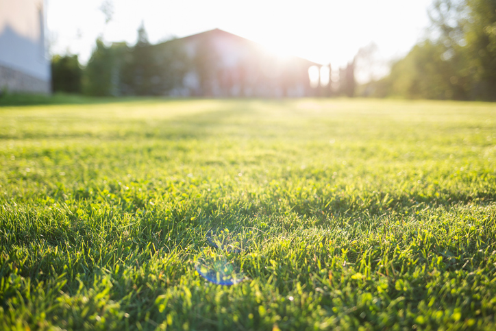 Custom Turf, Inc. Facebook ad: Lawn Care in Ohio | Custom Turf