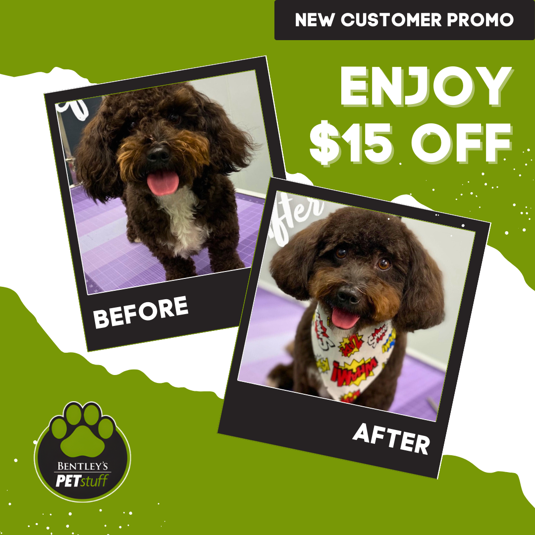 Bentley's Pet Stuff & Grooming Schaumburg Facebook ad