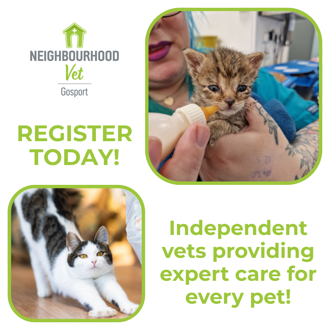 Neighbourhood Vet Gosport Facebook ad