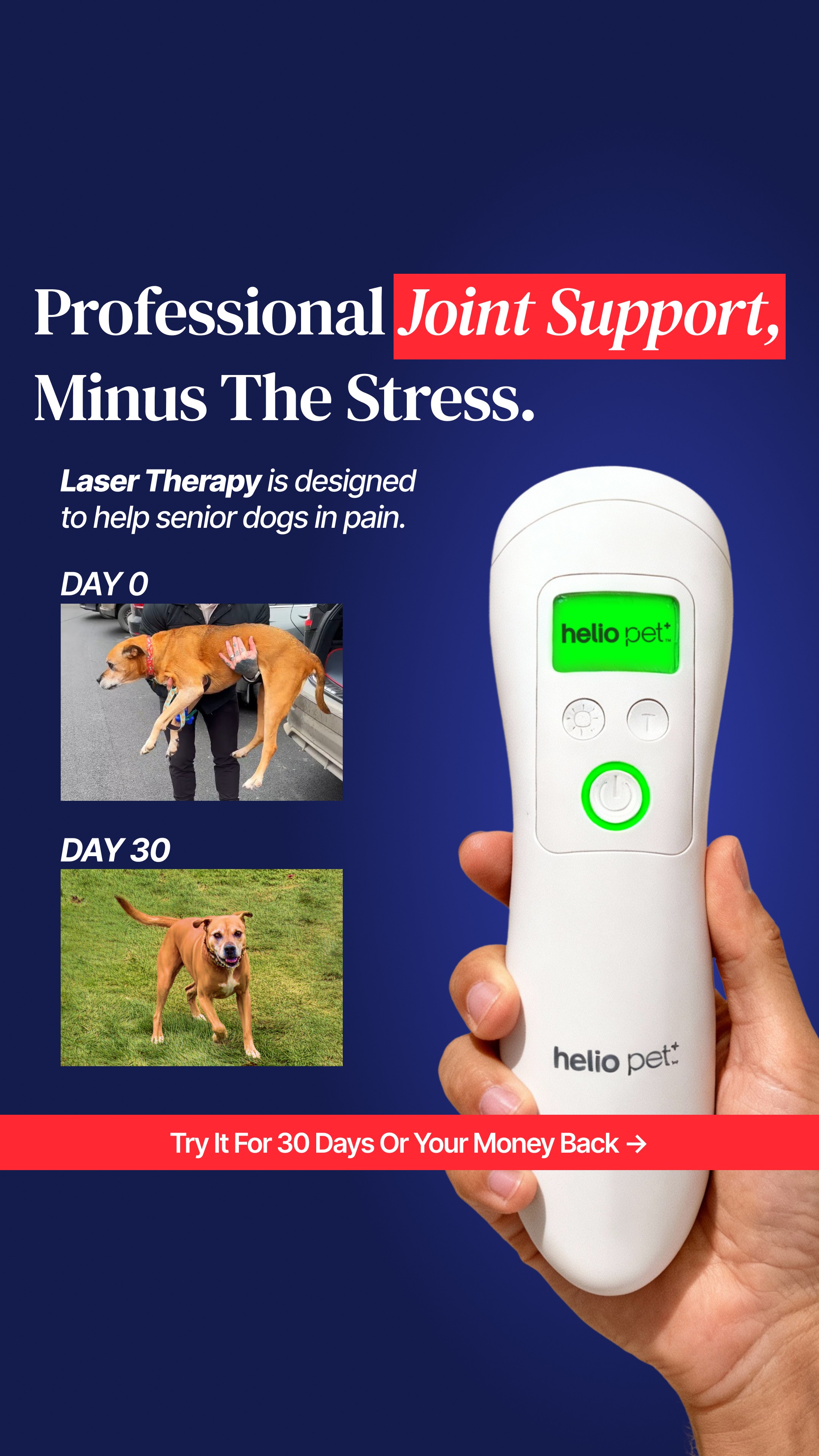 Helio Pet Facebook ad