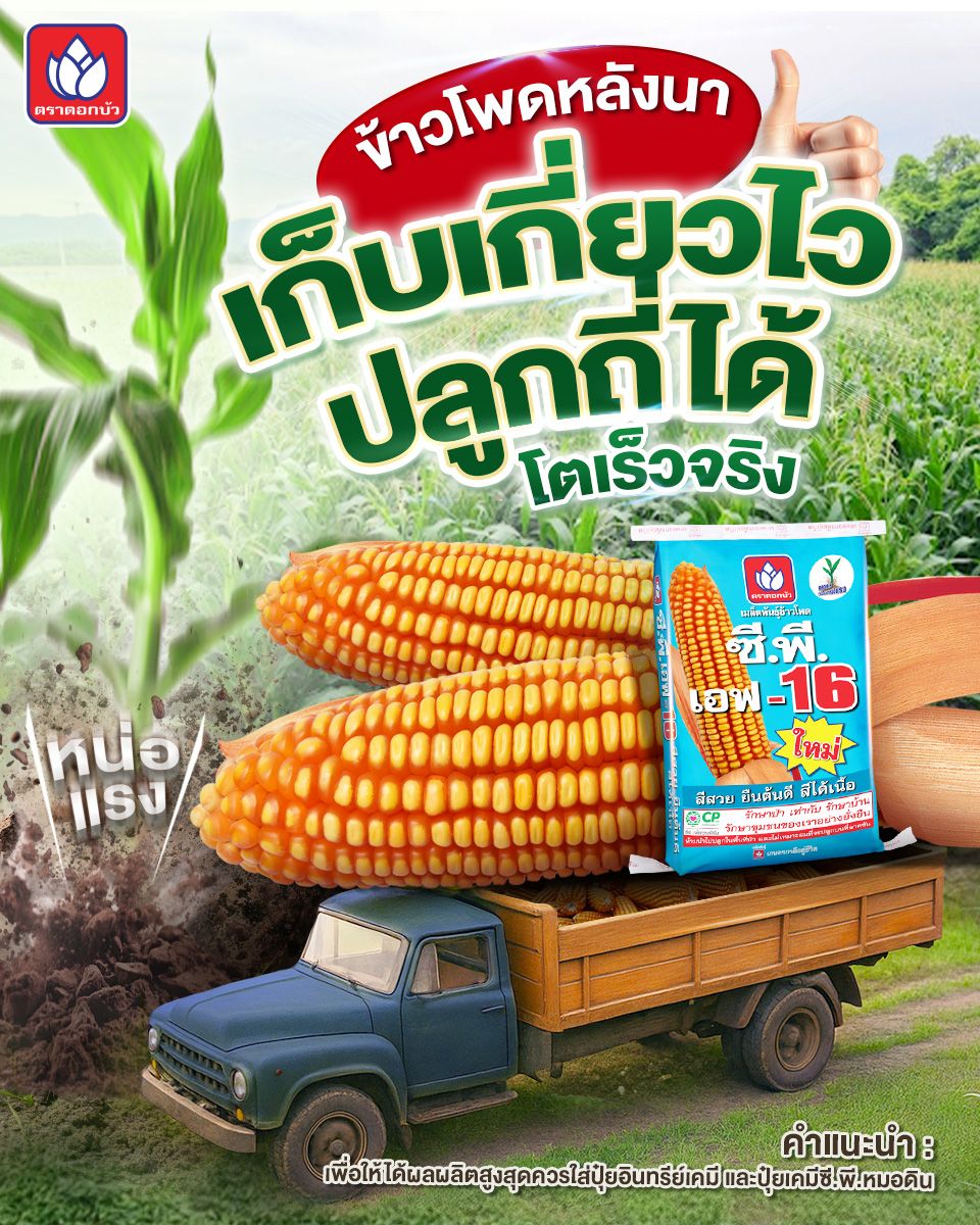Robrai ปุ๋ยซี.พี.หมอดิน Facebook ad: Robrai