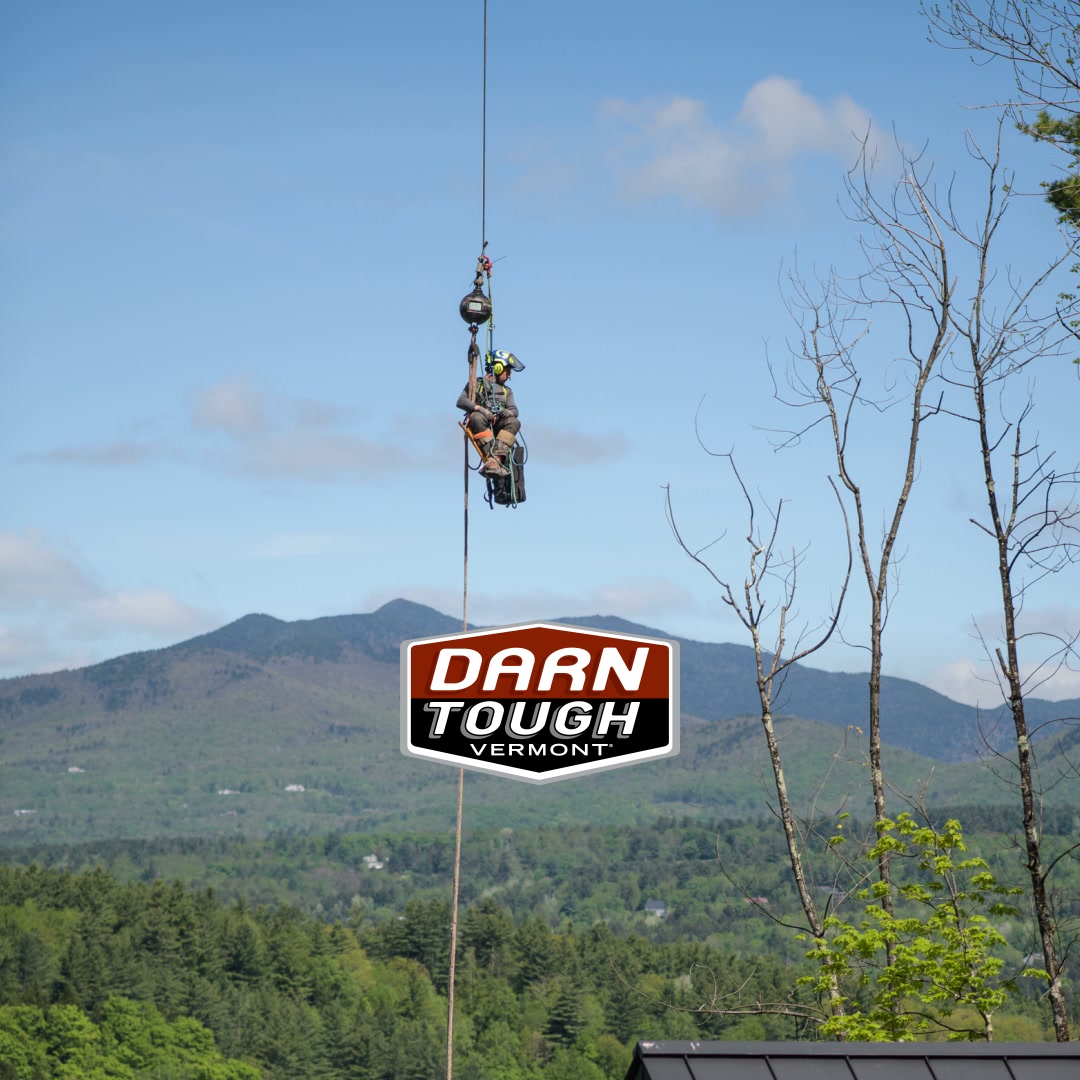 Darn Tough Vermont Socks Facebook ad from Aug 20, 2026