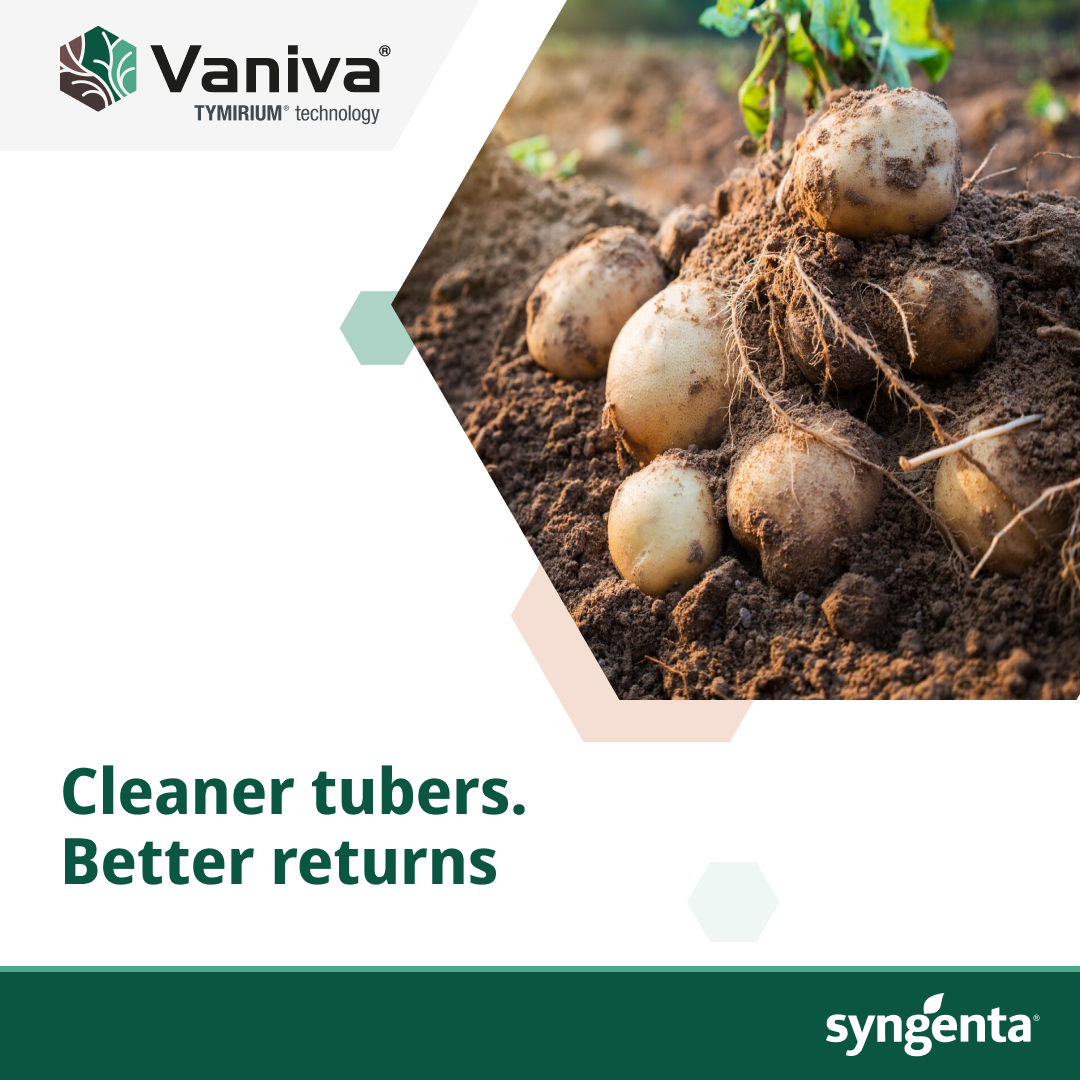 Syngenta Zimbabwe Facebook ad: Root-knot nematodes can reduce potato yields by up…
