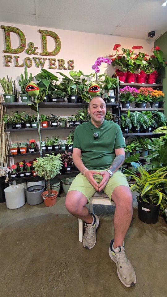 D&D Flowers Facebook ad: Raised on farms in tiny little containers and…