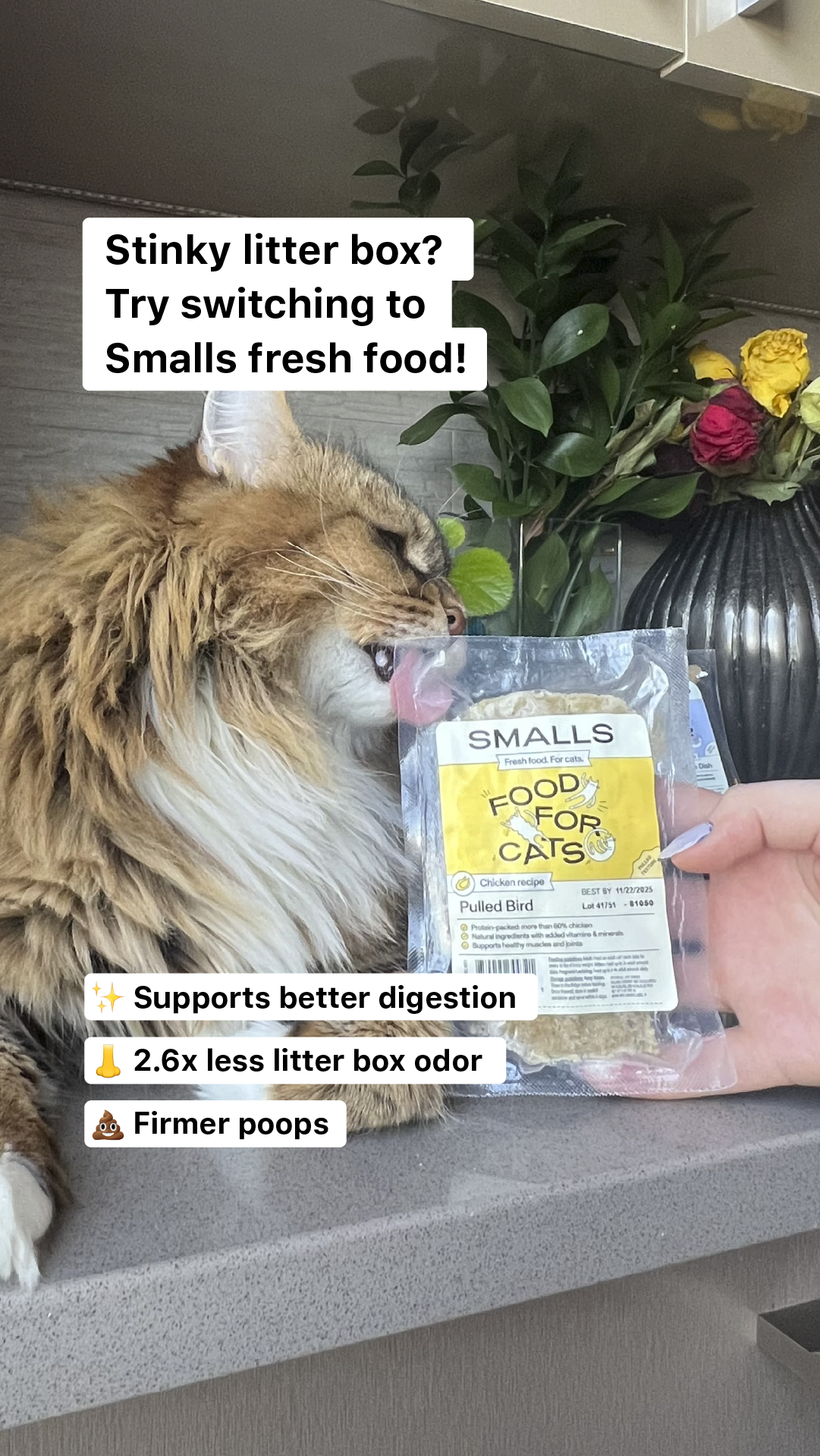 Smalls Facebook ad
