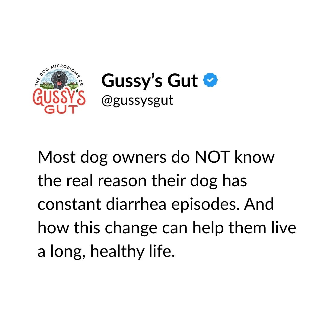 Gussys Gut Facebook ad
