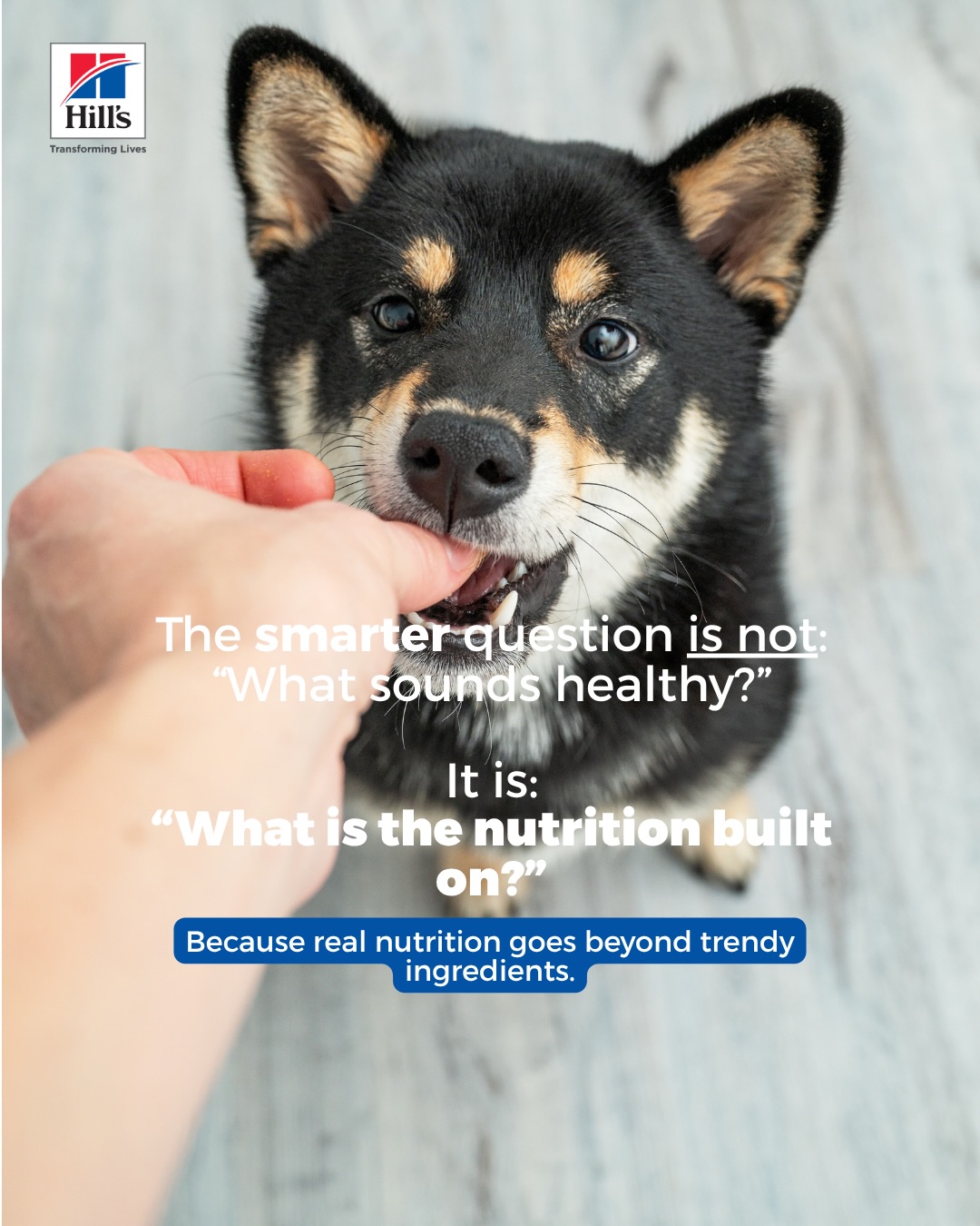 Hill's Pet Nutrition Singapore Facebook ad: Did you know?