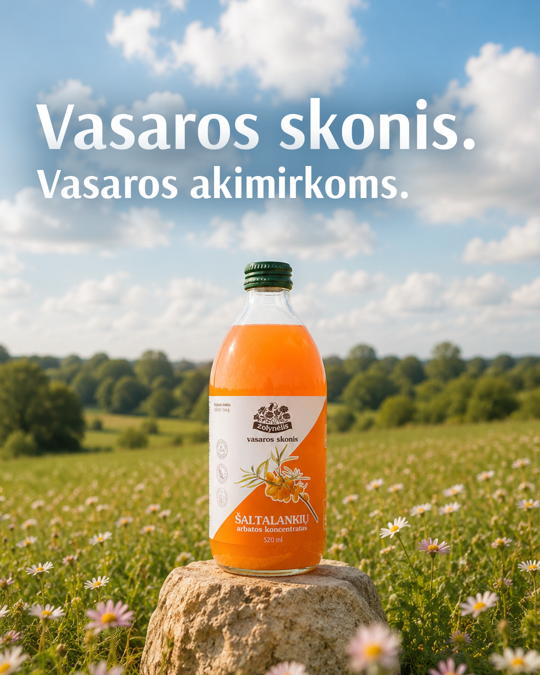 Žolynėlis Facebook ad