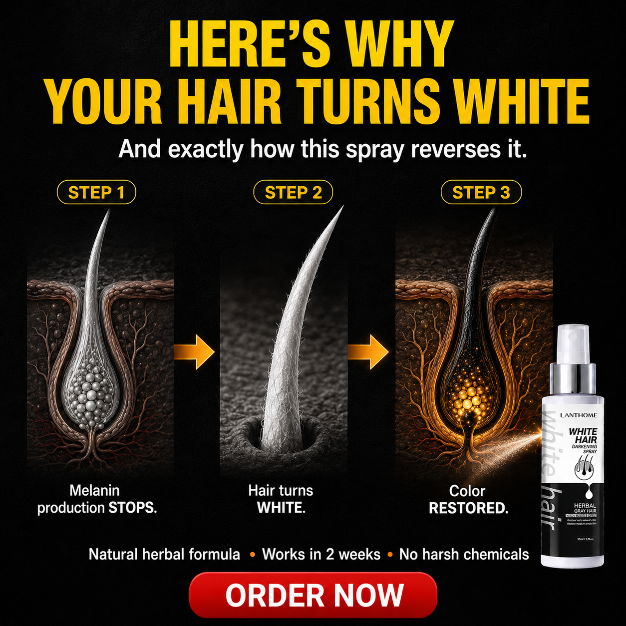 RexaBuy Facebook ad: Here's why your hair turned white