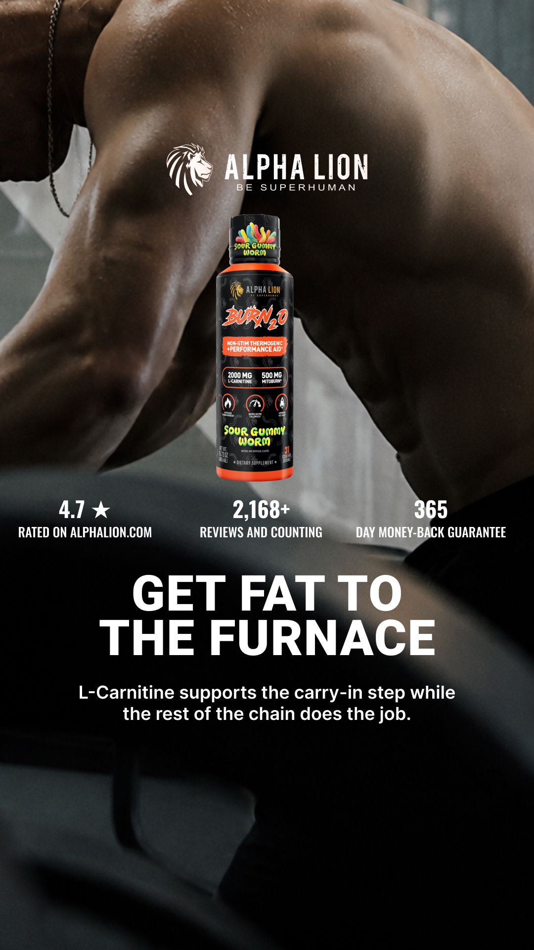 Alpha Lion Facebook ad: A Delicious fat-burning Shot that changes everything.